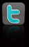 Twitter Logo